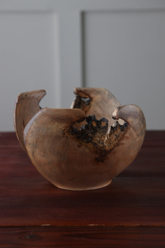 Handturned Live Edge Bowl with Bark Inclusions & Negative Space