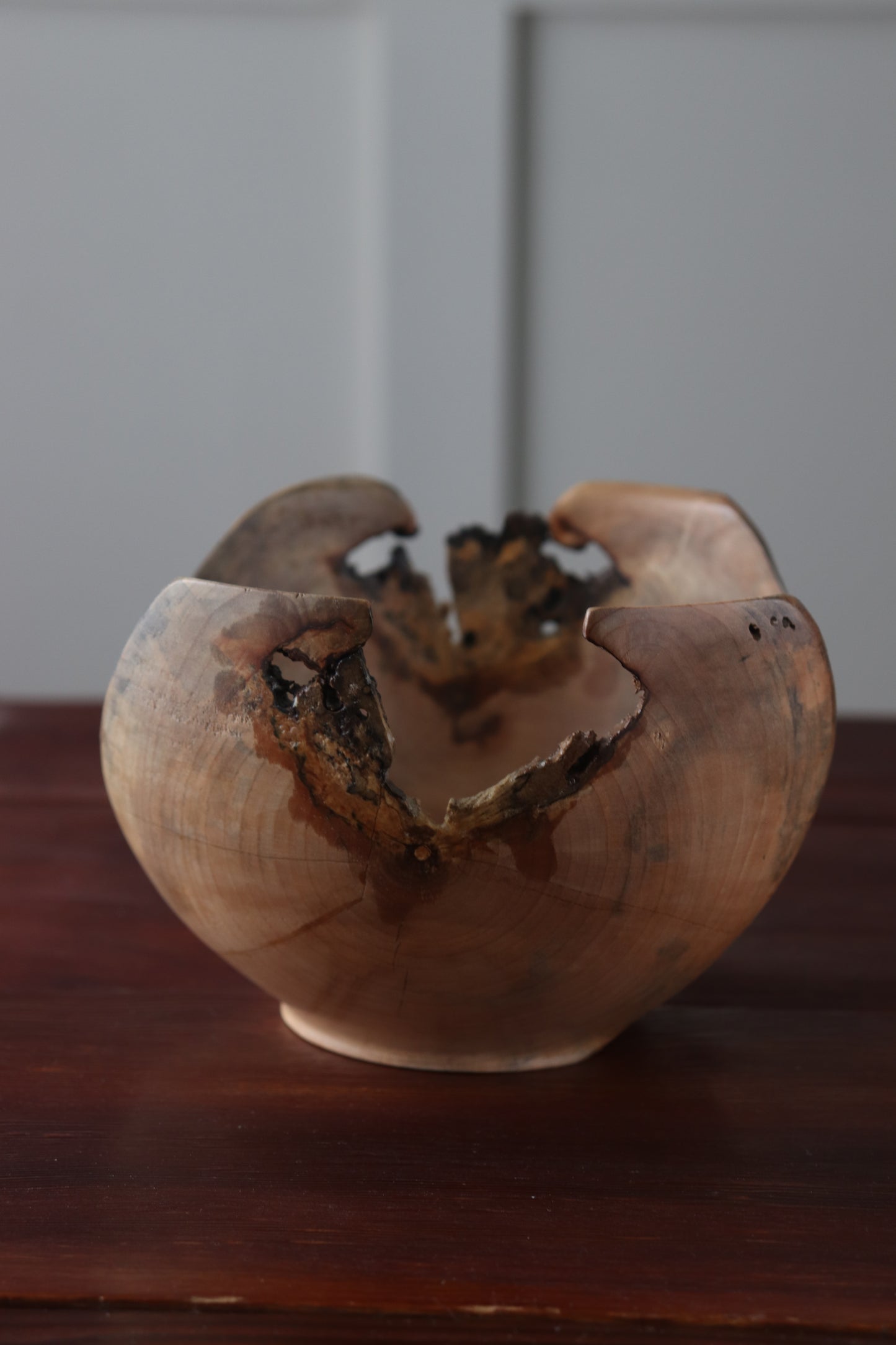 Handturned Live Edge Bowl with Bark Inclusions & Negative Space